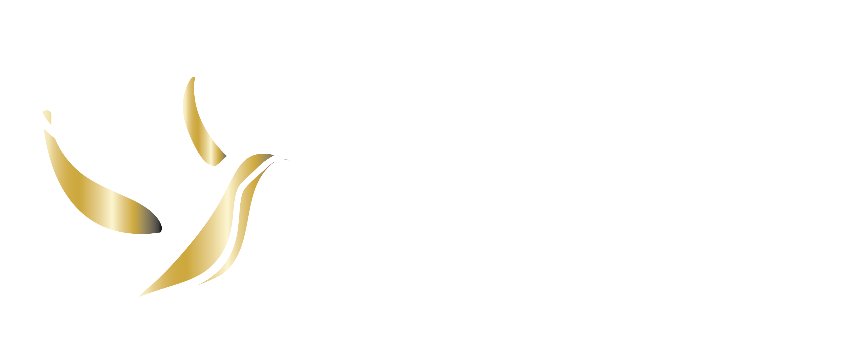 Ibis Trauma Recovery